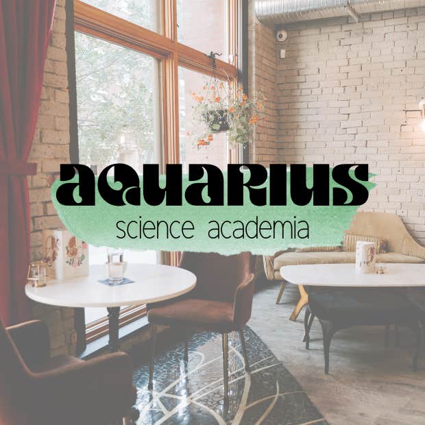 aquarius academia aesthetic