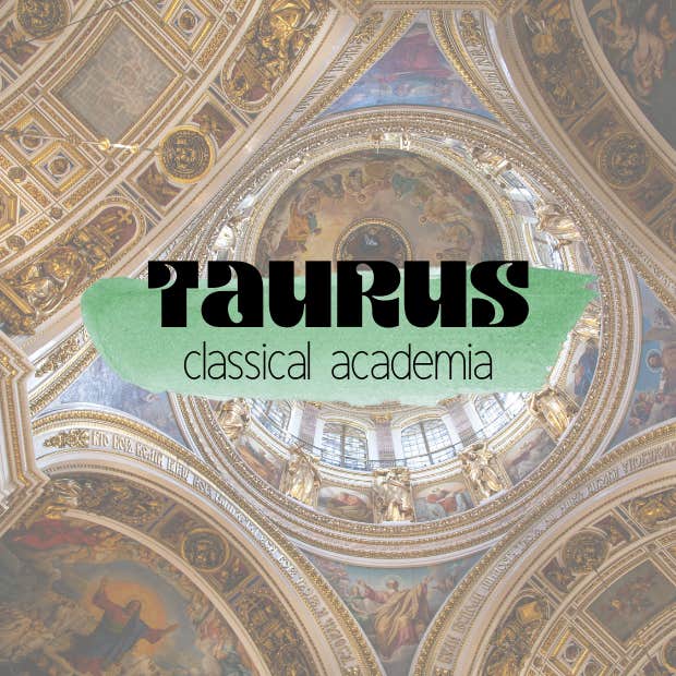 taurus academia aesthetic