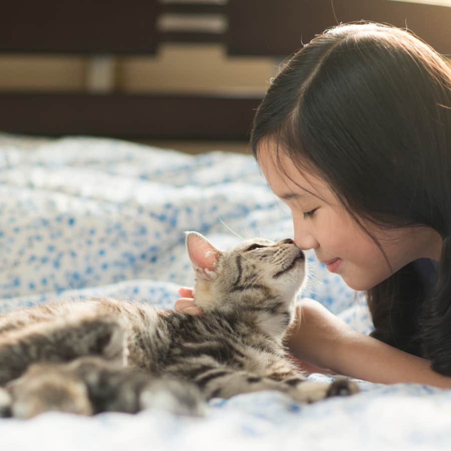 The Sweet Reason Your Cat Is More Affectionate In The Morning