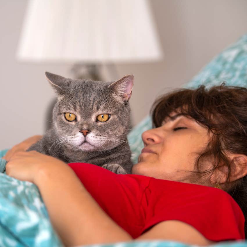 The Sweet Reason Your Cat Is More Affectionate In The Morning