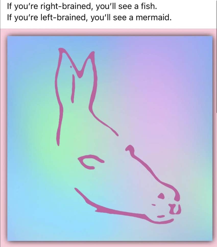 fish mermaid donkey horse seal optical illusion personality test