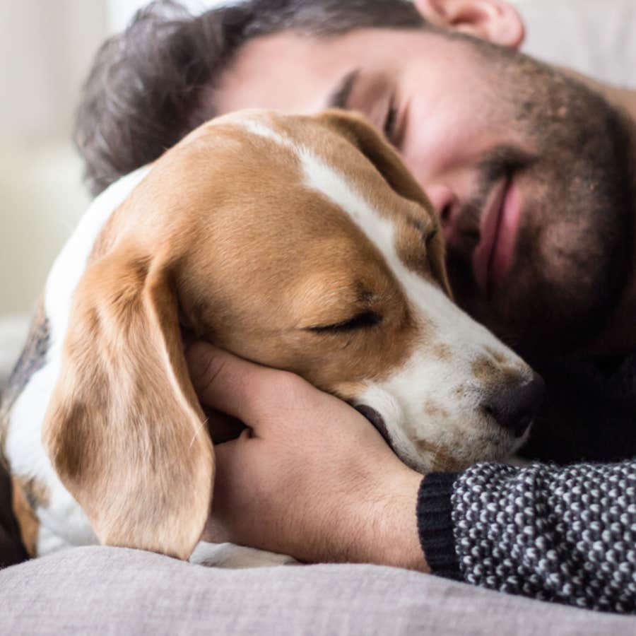 Employee Told They Should Have Prepped Earlier After Asking For The Day Off When Their Dog Passed Away Unexpectedly