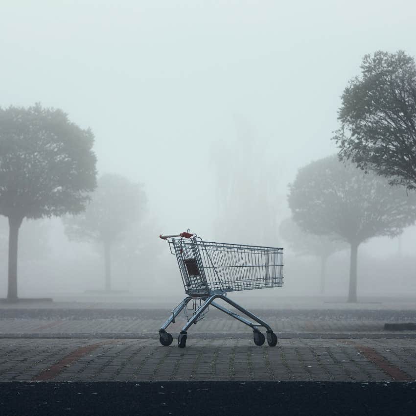 Man Ashamed Because He Likes His Job As A Cart Pusher At Walmart