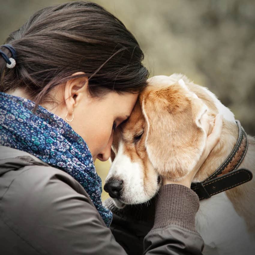 Woman Records Her Dog&#039;s Devastating Reaction To Her Boyfriend Leaving The House After Their Breakup