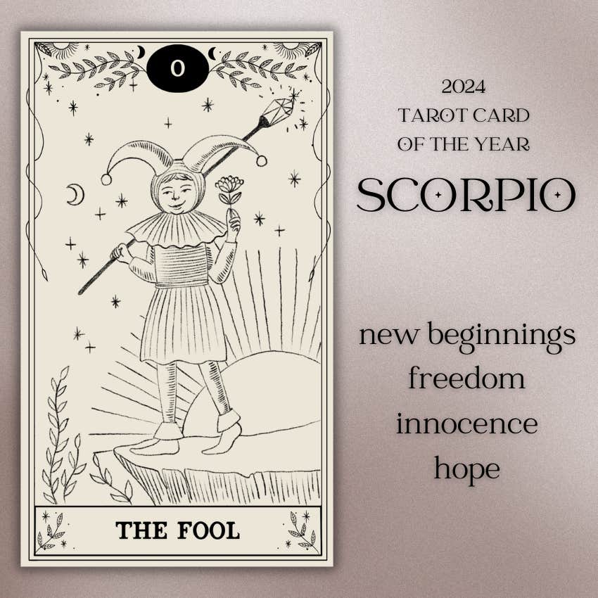scorpio 2024 tarot card of the year the fool