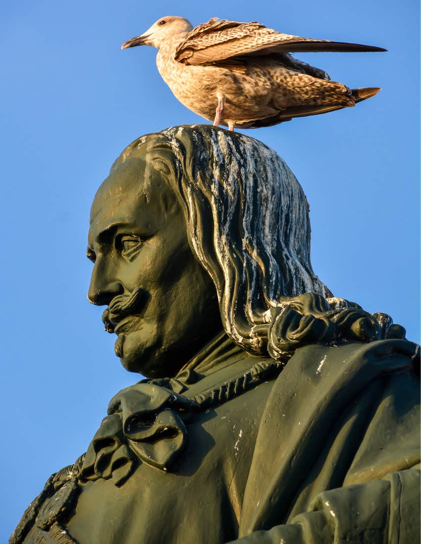 Woman Believes The Superstition That It&#039;s Good Luck To Be Pooped On By A Bird 