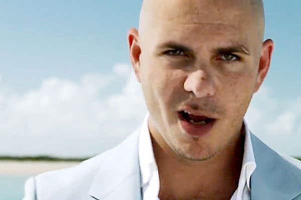 Pitbull