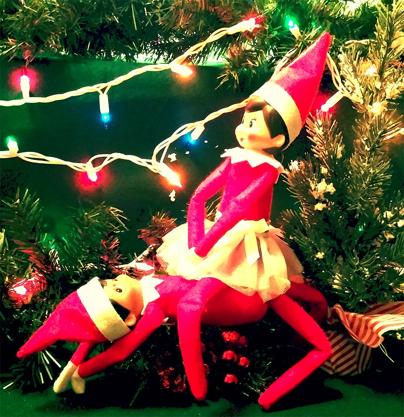 elf on the shelf kama sutra