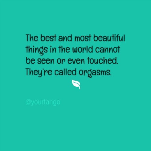 The best and most beautiful things in the world cannot be seen or even touched. They&#039;re called orgasms.