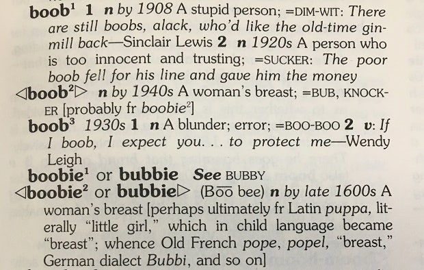 boobs definition
