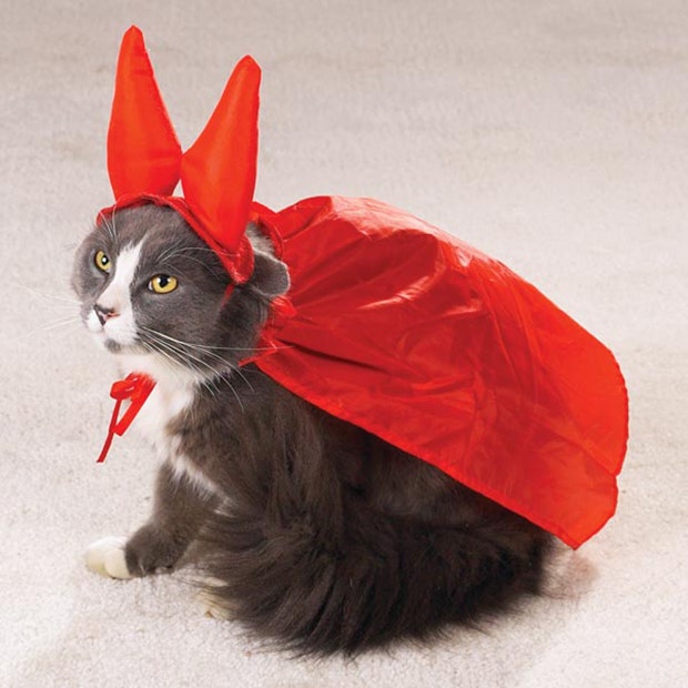 Cute Cat Halloween Costume