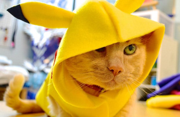 Cute Cat Halloween Costume