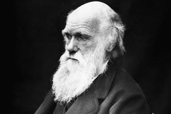 Charles Darwin from Wikimedia