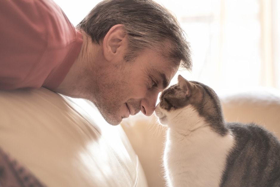 12 Reasons Cat Guys Make The BEST Husbands