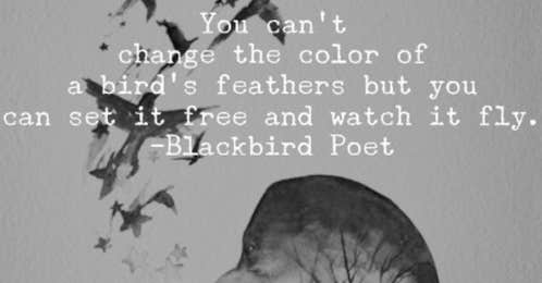 Mary Hutchinson Blackbird.Poet Instagram Quotes & Poems About Love