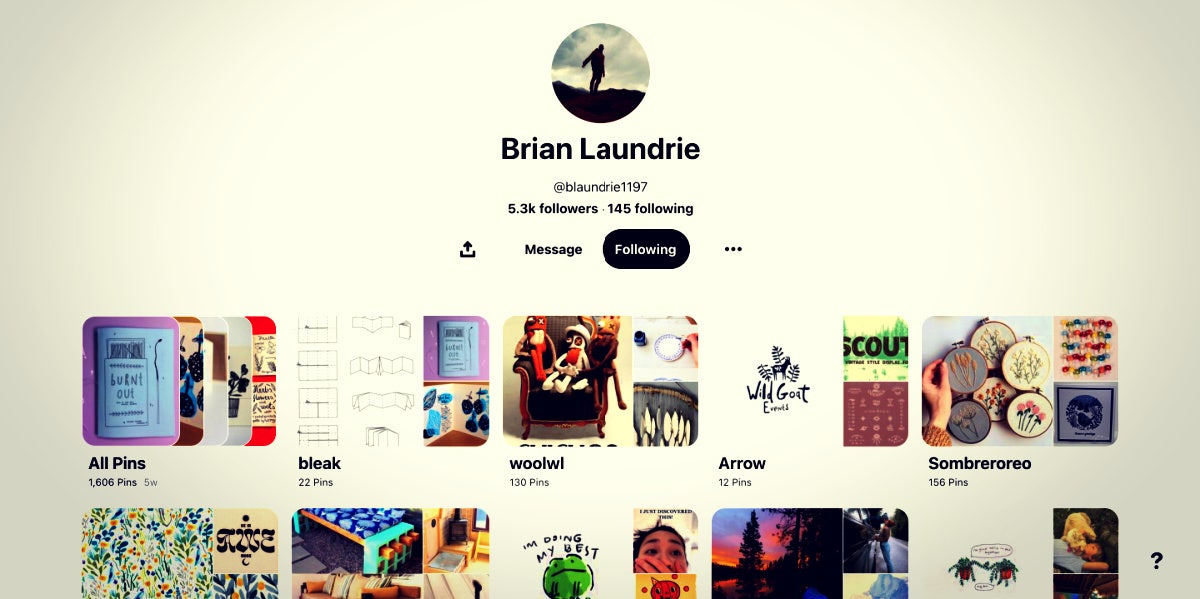 Brian Laundrie Pinterest boards