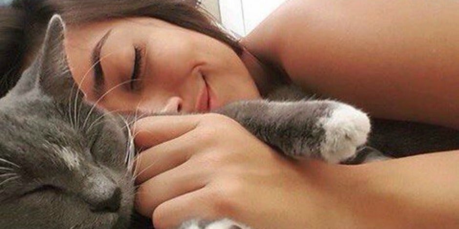 cat lady cat lady