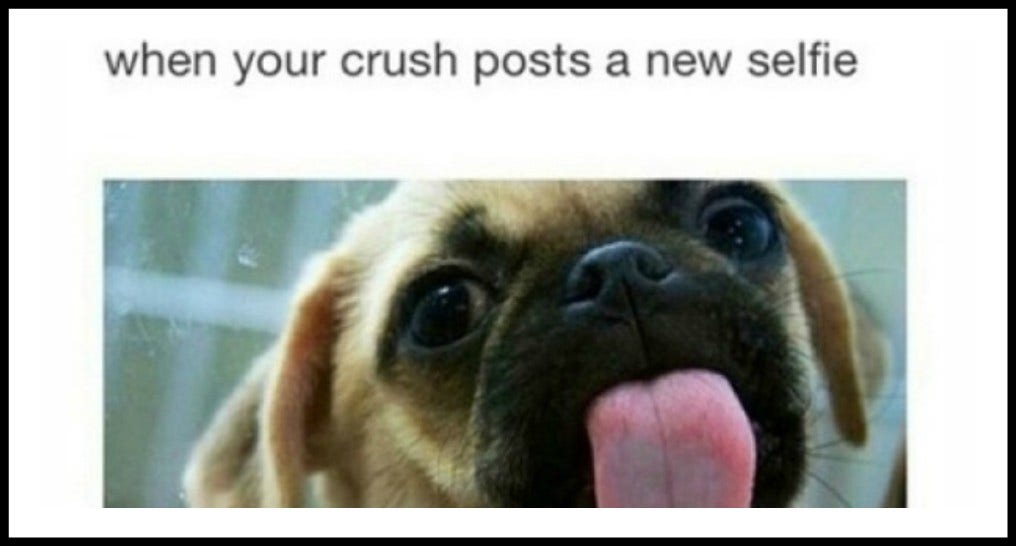 11 Funny Crush Memes That Nail What It Feels Like To Totally Obsess Over A  Guy | Yourtango