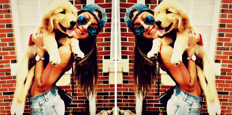dog dog