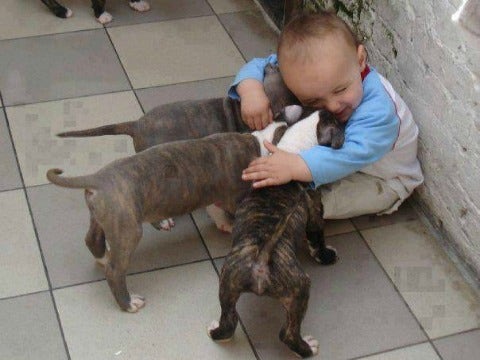 baby dogs baby dogs