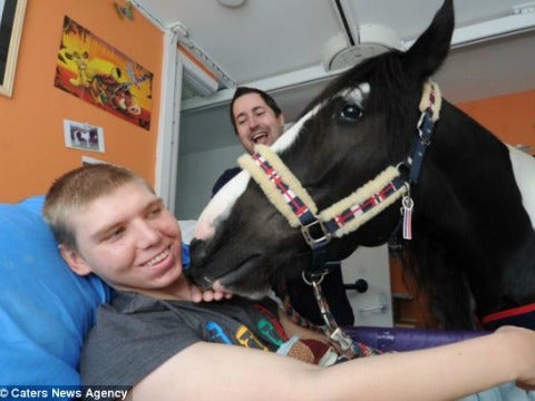 man-horse man-horse