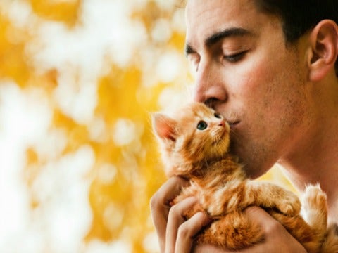 12 Hot Guys With Cats