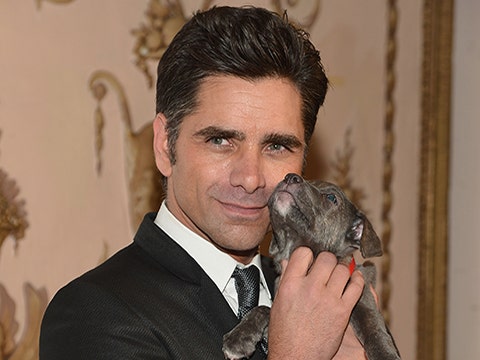 John Stamos