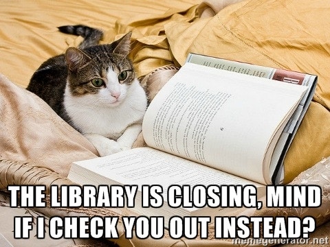 9 Cats Trying To Hit On You With Government Shutdown Pickup Lines