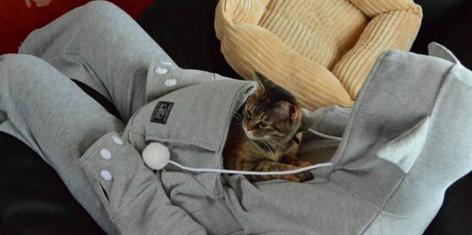 animals pets hoodie
