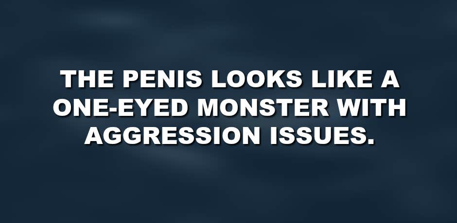penis, vagina penis, vagina