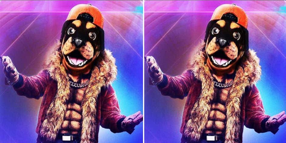 The Masked Singer Spoilers: Who Is The Rottweiler?