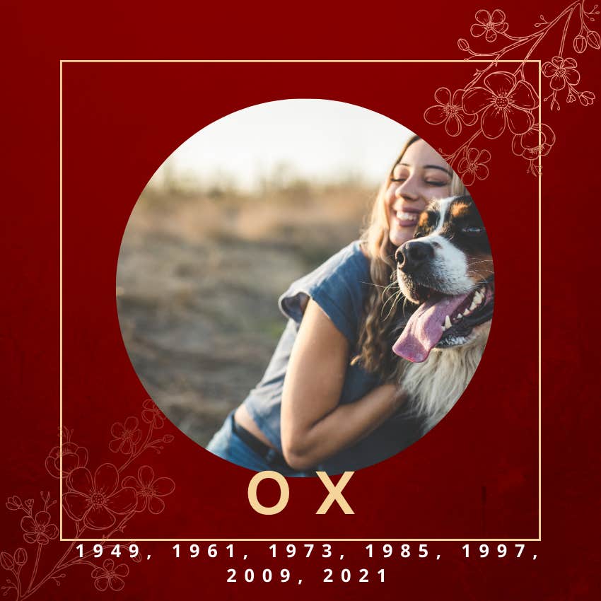 ox chinese zodiac sign weekly horoscope for april 29 - may 5, 2024