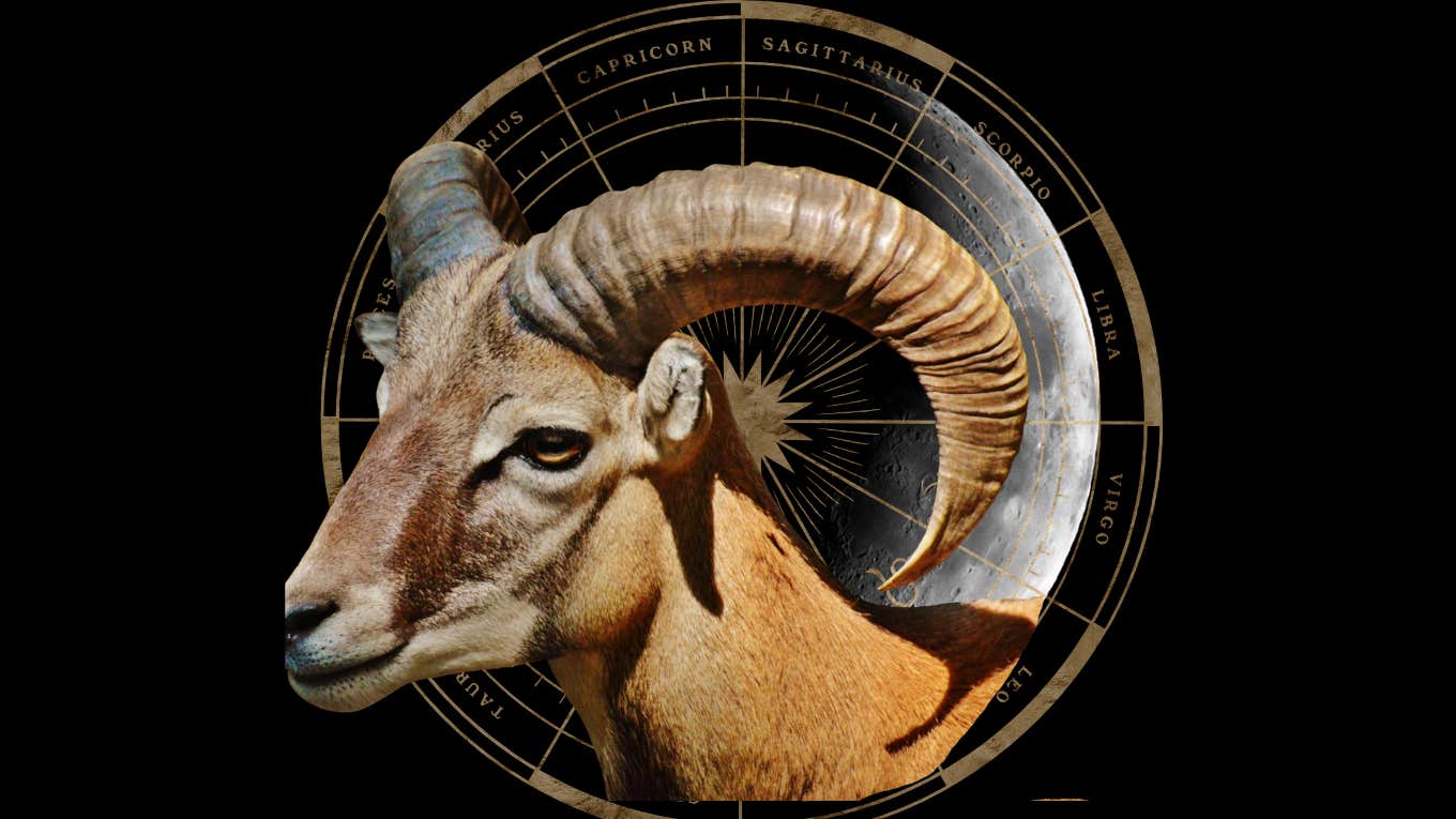 Each Zodiac Sign's Daily Horoscope For May 5, 2024 Each Zodiac Sign's Daily Horoscope For May 5, 2024