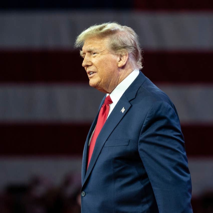 Donald Trump wearing suit in profile