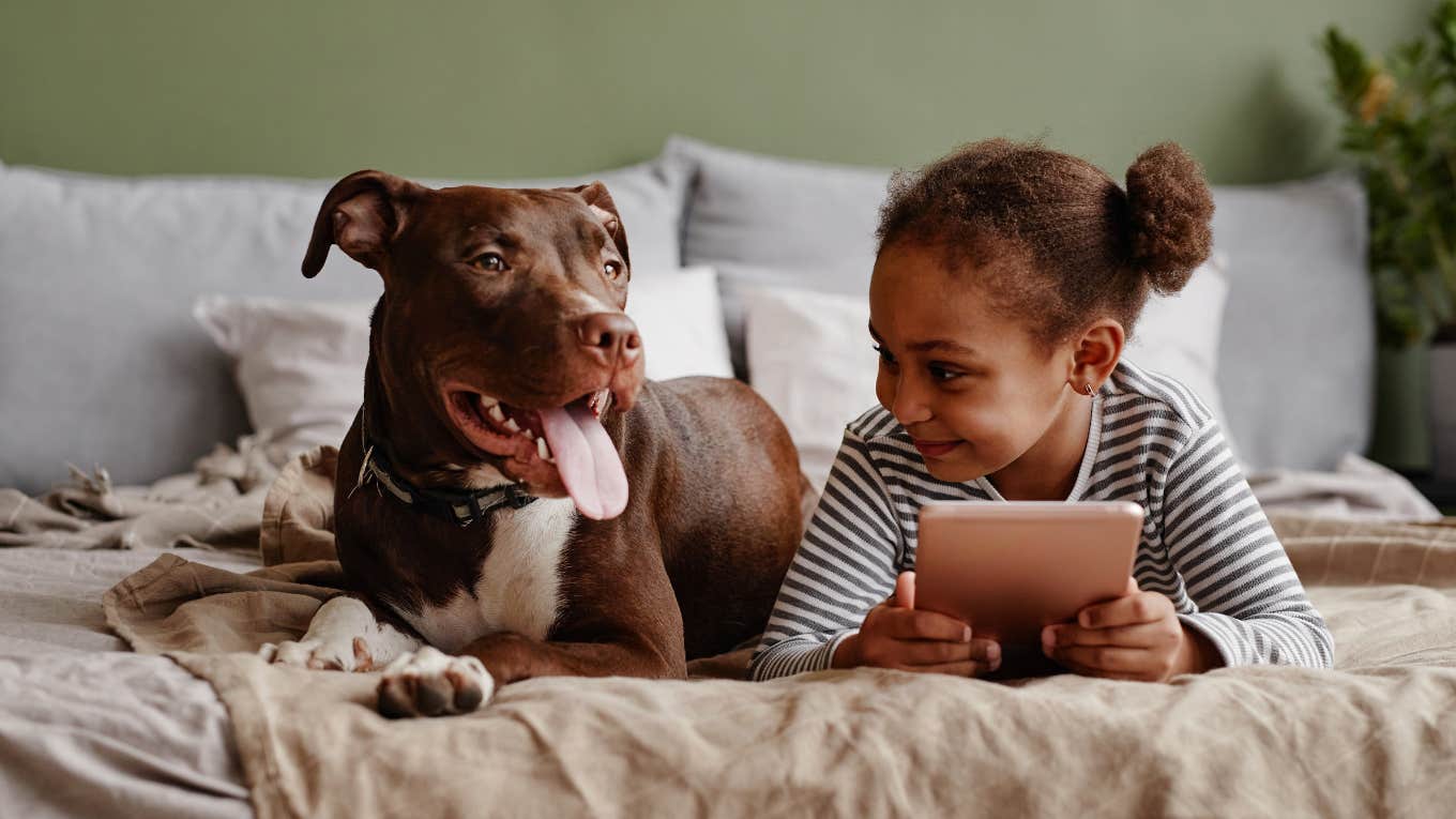 Grandma Ignores Daughter's Request To Keep Pitbull Away From Her Toddler Pitbull laying with toddler on bed.