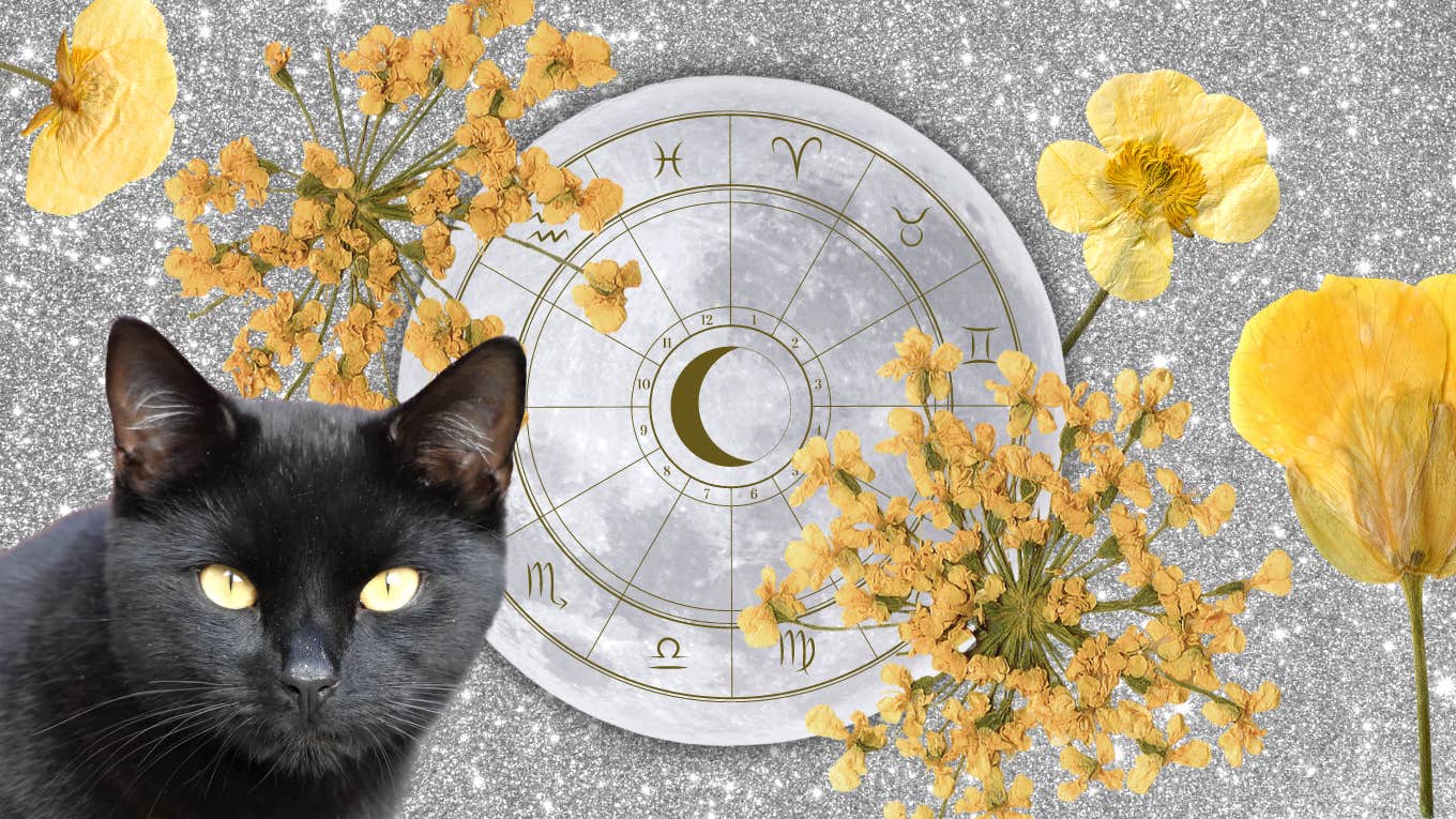 Horoscope For Each Zodiac Sign On May 21 — Moon Opposition Mercury