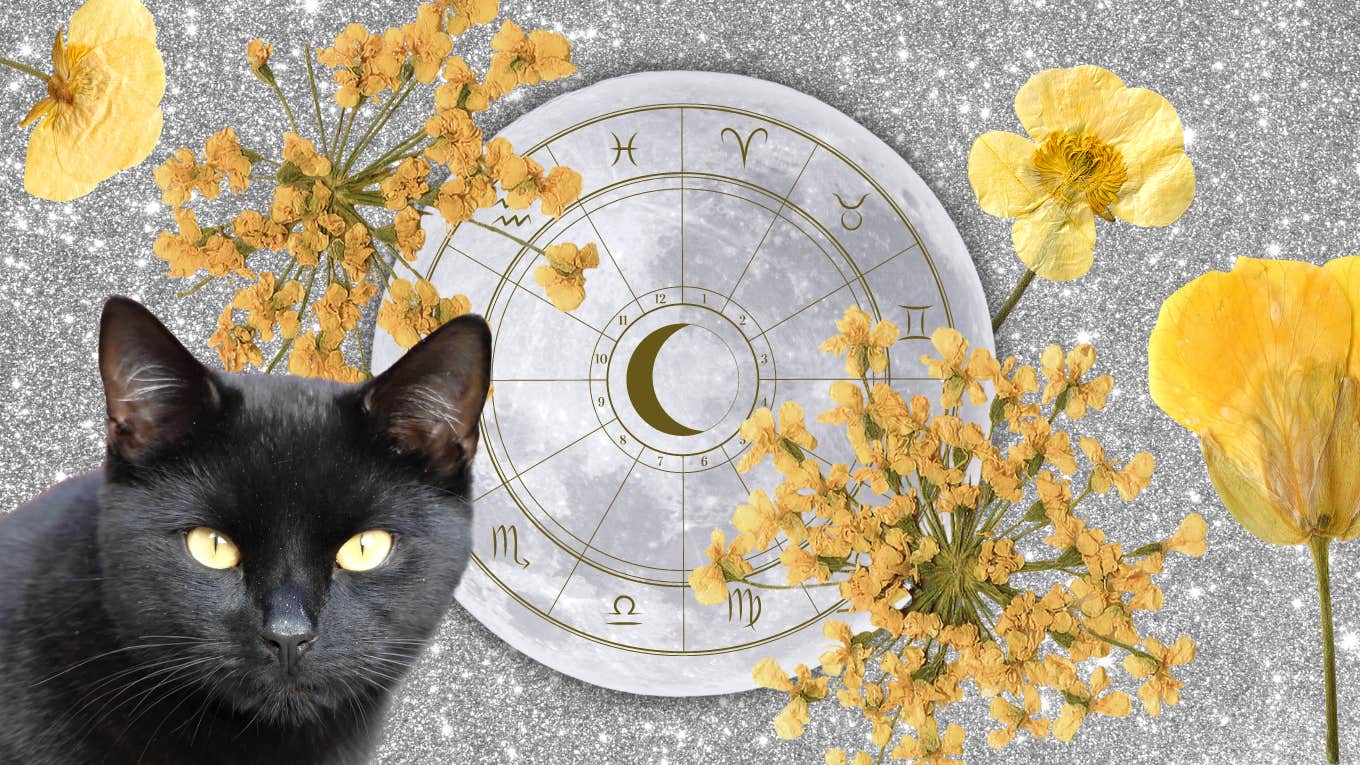 daily horoscope may 21 2024 each zodiac sign daily horoscope may 21 2024 each zodiac sign