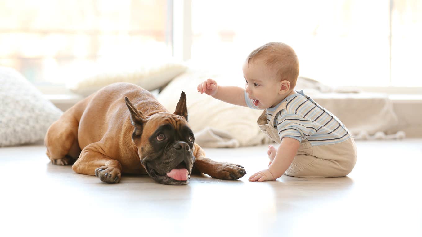baby playing with dog on the floor