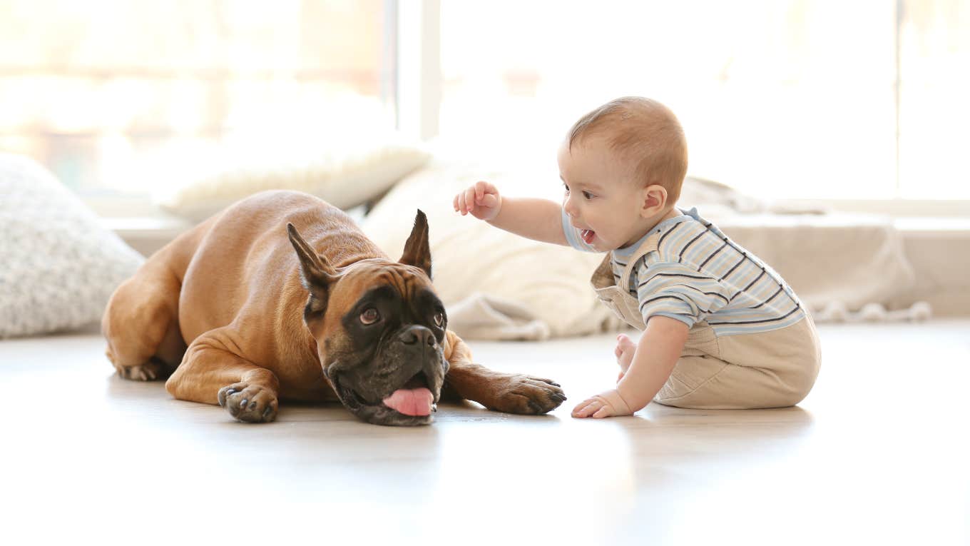 Man's Sister Wants To Give Her Baby The Same Name As His Puppy baby playing with dog on the floor