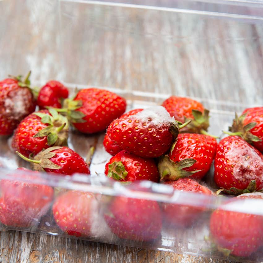 moldy strawberries
