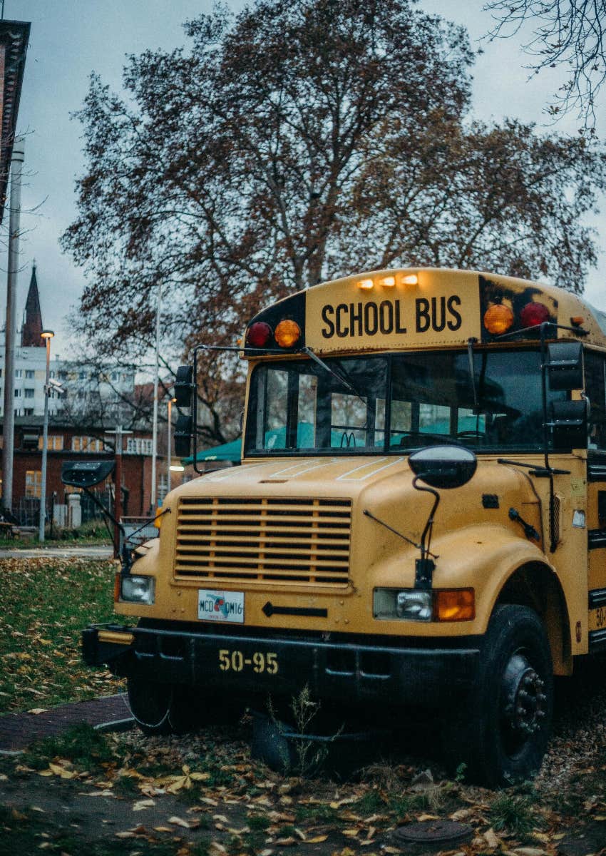 school bus in front of tree