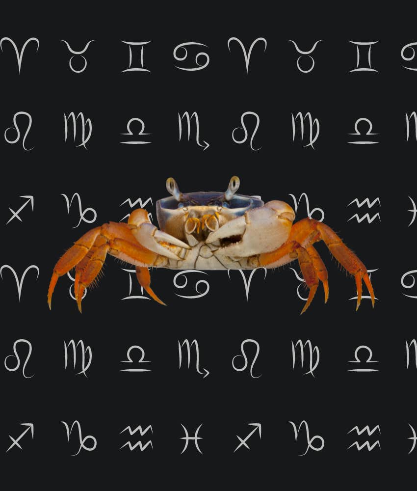 Zodiac Signs With Very Good Horoscopes On June 22, 2024