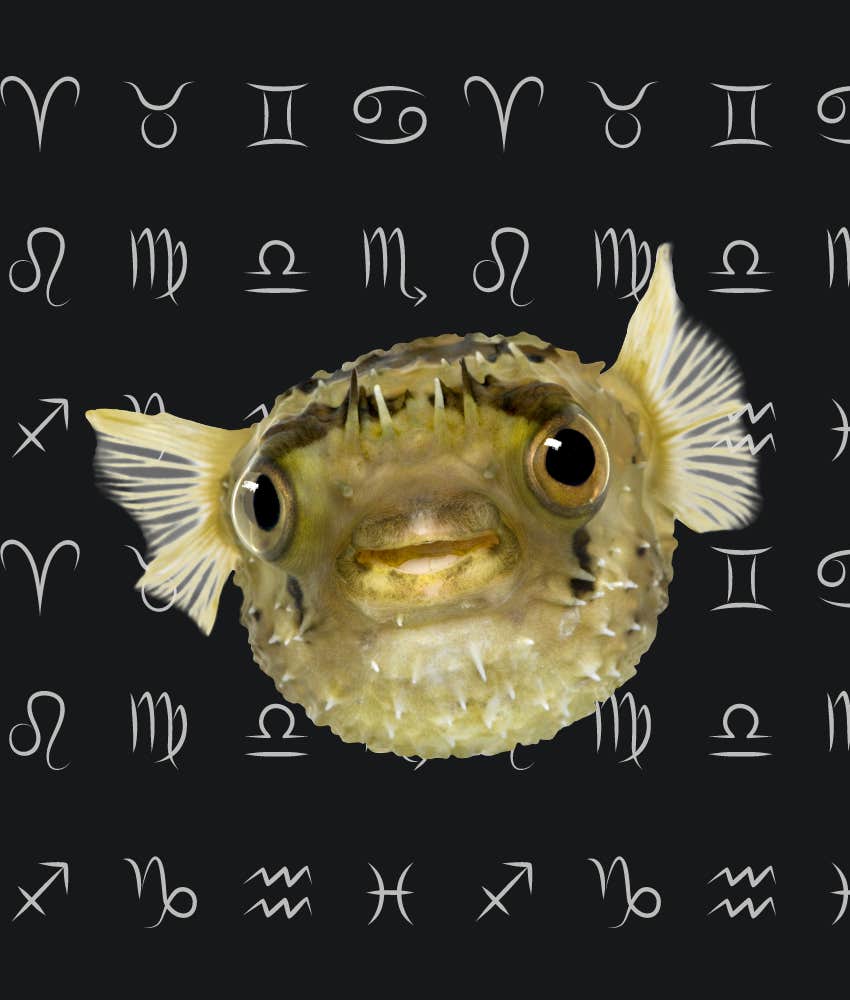 Zodiac Signs With Very Good Horoscopes On June 22, 2024