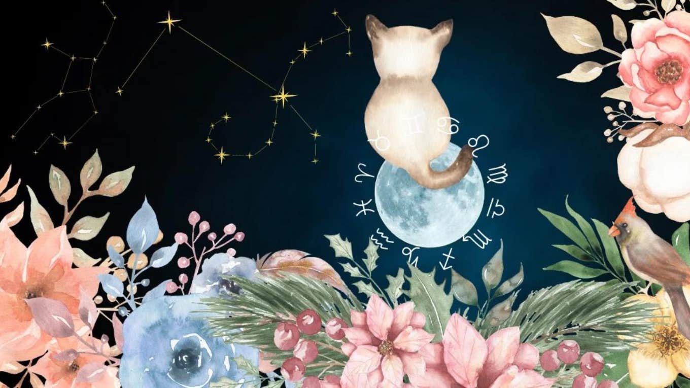 The Daily Horoscope For Each Zodiac Sign On June 29, 2024