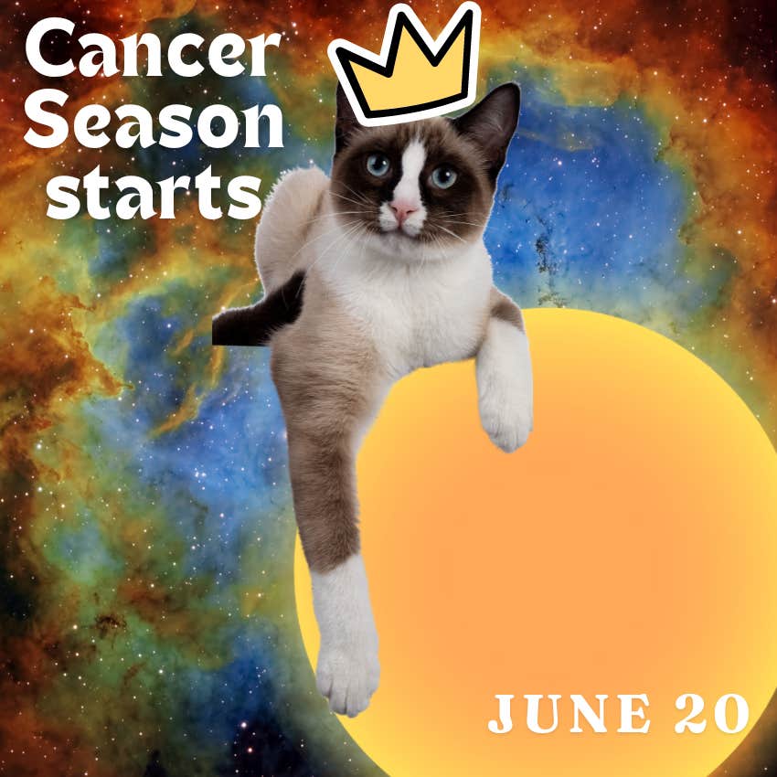  The 8 Dates In June 2024 That Bring Profound Change To Each Zodiac Sign’s Romantic Relationship All Month