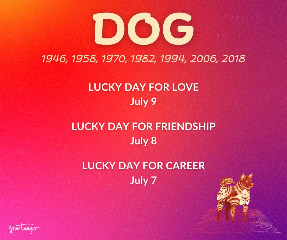 dog july 2024 chinese zodiac horoscope