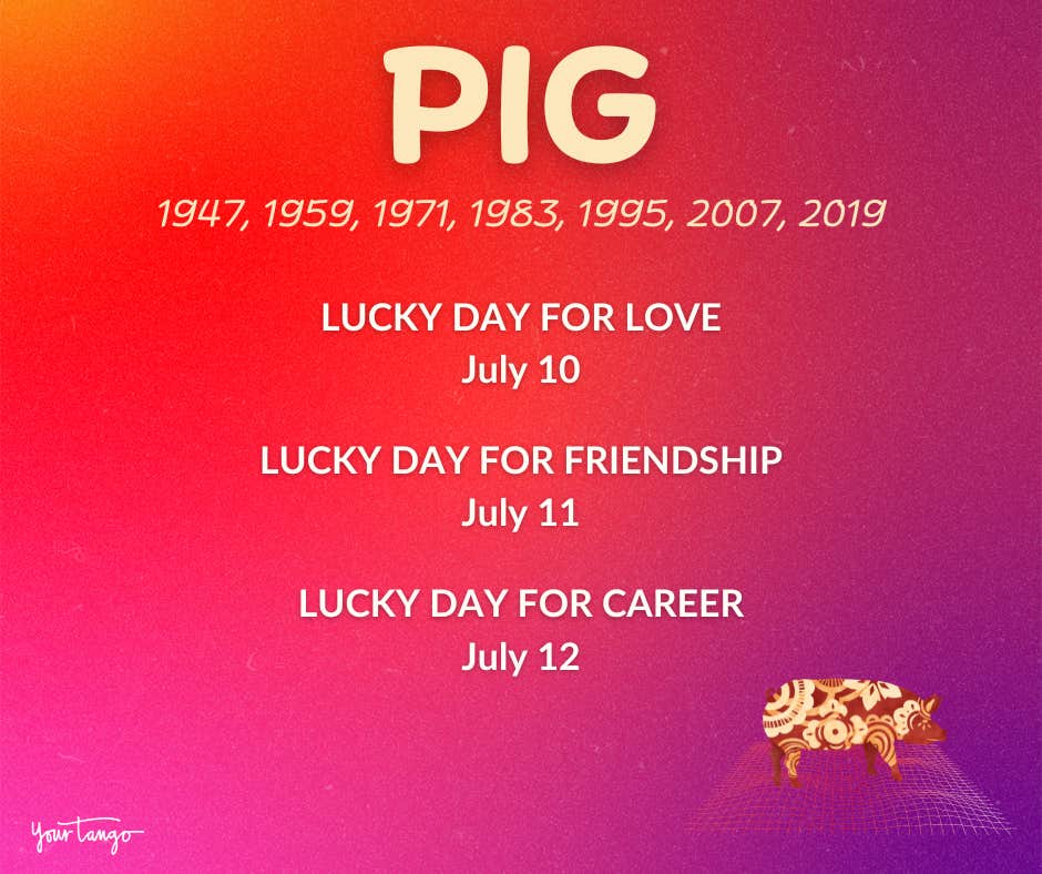 pig july 2024 chinese zodiac horoscope