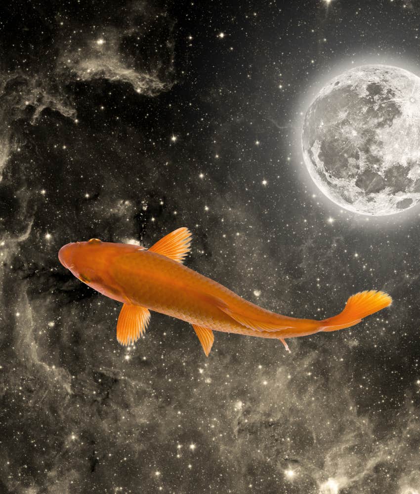 Pisces Lucky Zodiac Signs Receive Abundance on June 23, 2024