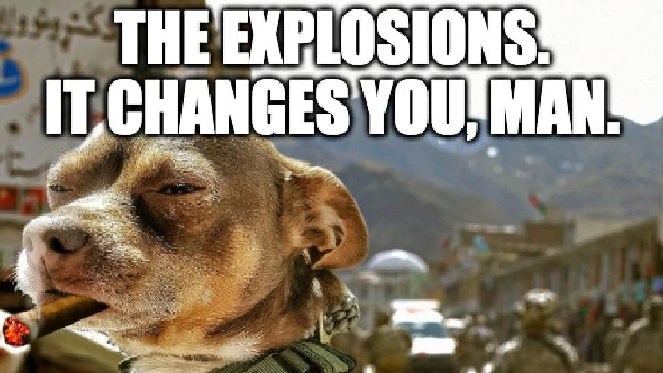 50 Funny 4th Of July Memes & Independence Day Quotes Dog saying 'the explosions, it changes you man'