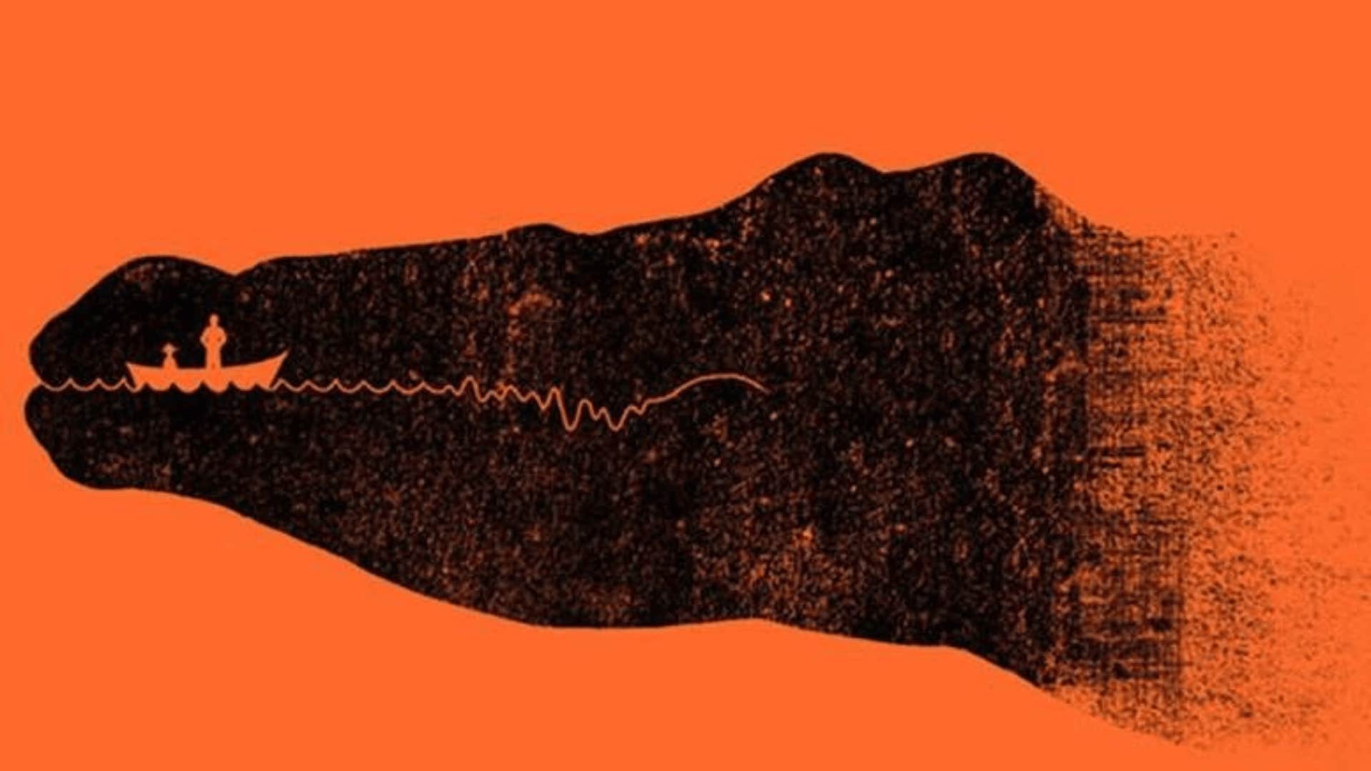 optical illusion crocodile or boat